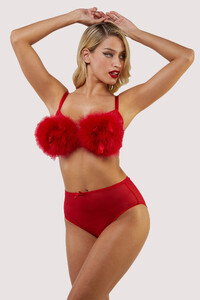 bettie-page-lingerie-bra-elizabeth-red-plunge-feather-bra-30402683240496_2000x.jpg