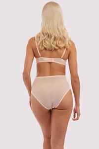 bettie-page-lingerie-brief-pink-mesh-classic-brief-29170054856752_2000x.jpg