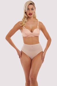 bettie-page-lingerie-brief-pink-mesh-classic-brief-29170063179824_2000x.jpg