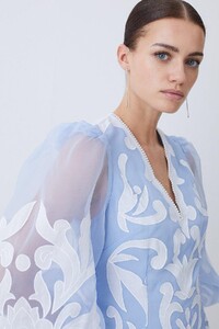 blue-petite-applique-organdie-buttoned-woven-mini-dress-2.jpeg
