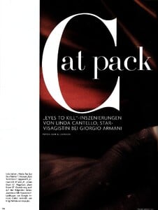 catpack_1.thumb.jpg.92b8db083ffd3ab00e7903facece6e8c.jpg