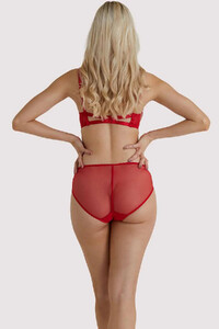 dita-von-teese-lingerie-brief-dita-von-teese-julie-s-roses-red-bikini-briefs-28733404545072_2000x.jpg