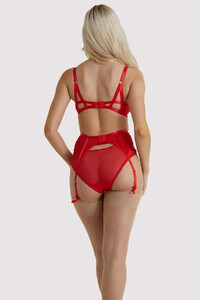 dita-von-teese-lingerie-suspender-dita-von-teese-madame-x-red-suspender-28751946580016_2000x.jpg