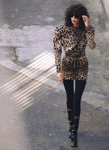 feline_02.thumb.jpg.a5bb2d46b4729a439590a1d24cfd0d89.jpg