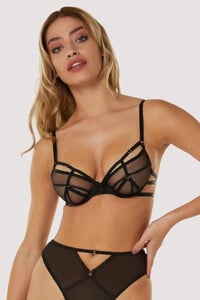 hustler-bra-naya-black-mesh-wired-plunge-bra-30541396181040_2000x.jpg