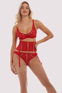 playful-promises-basque-corset-playful-promises-florence-red-waspie-28973223772208_2000x.jpg