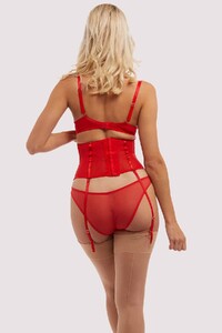 playful-promises-basque-corset-playful-promises-florence-red-waspie-28973223968816_2000x.jpg