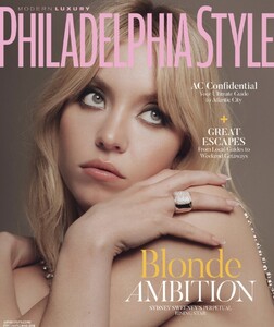 Modern Luxury Philadelphia Style 523.jpg