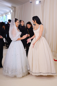 136433683_The2023MetGalaCelebratingKarlLagerfeld-ALineOfBeauty-RedCarpet3.png