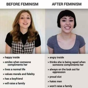 161745244_Feminists20.thumb.JPG.24cfa2f7070649e71e57ddbf7fa37633.JPG