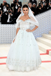 1699085879_The2023MetGalaCelebratingKarlLagerfeld-ALineOfBeauty-Arrivals30.png