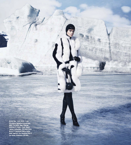 1898775886_Harpers_BAZAAR_USA_2013-11(dragged)6.thumb.png.f9bb01803ebe0a1a7877272a62dff5ef.png