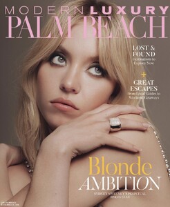 Modern Luxury Palm Beach 523.jpg