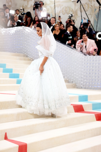 556987332_The2023MetGalaCelebratingKarlLagerfeld-ALineOfBeauty-Arrivals13.png