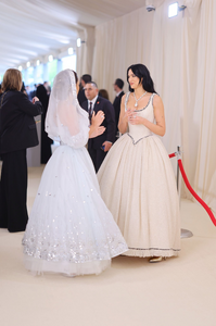 91261940_The2023MetGalaCelebratingKarlLagerfeld-ALineOfBeauty-RedCarpet4.png