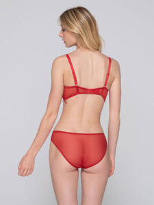 Flirt-14301-molded-balconette-24301-brief-red-back.jpg