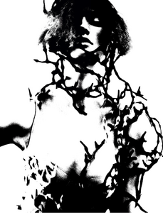 IMG_6377.thumb.png.0d3ae20bc66f159587d96c188ba25ae5.png