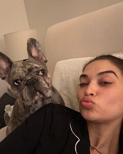 shaninamshaik_336474260_227677559781638_7008836713204968075_n.jpg