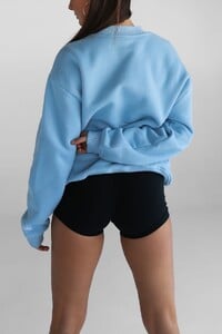 teddy-sweater-baby-blue-892405_2048x.jpg