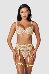 1-Lemon-Cassia-Muriel.jpg