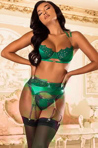 emerald-green-sweet-talk-embroidery-bra-set-55__58388.jpg
