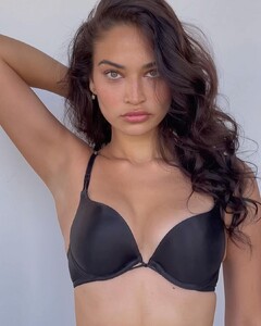 shaninamshaik_352540666_782962773361118_117163281917060506_n.jpg