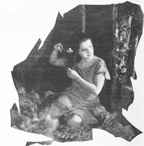 117.jpg