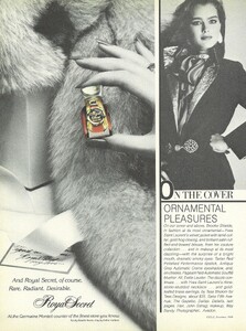 Avedon_US_Vogue_December_1980_Cover_Look.thumb.jpg.5e462e0a2da10a5d416d59094772f1d5.jpg