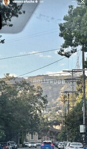 IMG_9249.jpeg