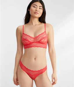 bte970182s3_hibiscus_24Mar23_1.webp