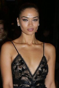 1661729190_767_Shanina-Shaik-Sexy-at-Paris-Fashion-Week-19-Photos.thumb.jpg.ad994a906b36b70560e4730c61b8eb96.jpg