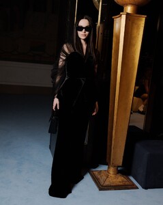 383780572_dove-14.jpg