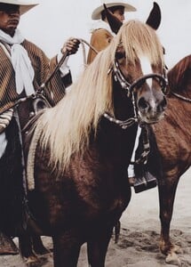 Dorado_Testino_US_Vogue_September_2012_11.thumb.jpg.d31819a5eb47bbe3d3ef977171650aef.jpg
