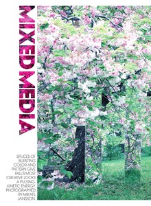 Mixed_Media_01.thumb.jpg.962c0eb7070ff6364a7b1b403b6dd6f0.jpg