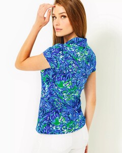 006648_abacoblueinturtleawe_a1-sf.jpg