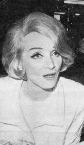 65.jpg
