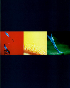Corbijn_Koji_Tatsuno_Fall_Winter_1990_91_04.thumb.png.1049c958d51b112f2d83da95b87226cf.png