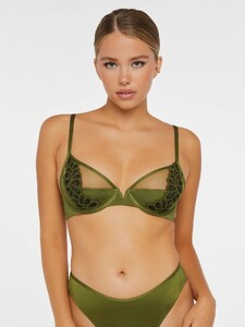 SAVAGE-NOT-SORRY-MICROFIBER-AND-LACE-HALF-CUP-BRA-BA2042962-10768-1-1200x1600.thumb.jpg.8ed132f60b4e7048e867e89269de06be.jpg