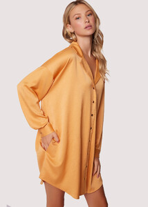 WDWC03824_APRICOT_3.thumb.jpg.23058d7b4ad74288b86652f8cd4cde50.jpg