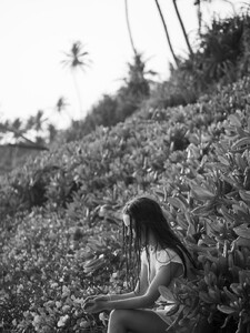 _1066478.jpg