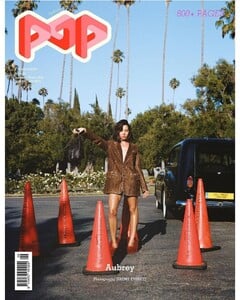 aubrey-plaza-pop-magazine-issue-49-autumn-winter-2023-1.jpg