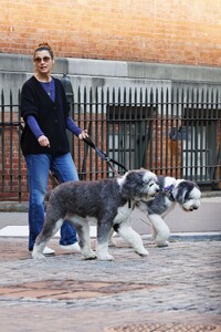 bridget-moynahan-out-with-her-dogs-in-new-york-10-24-2023-1.jpg