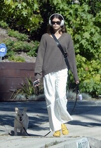 kaia-gerber-out-for-a-dog-walk-in-los-angeles-10-14-2023-0.jpg