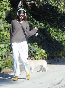 kaia-gerber-out-for-a-dog-walk-in-los-angeles-10-14-2023-9.jpg