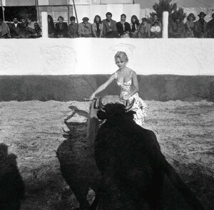 156.jpg