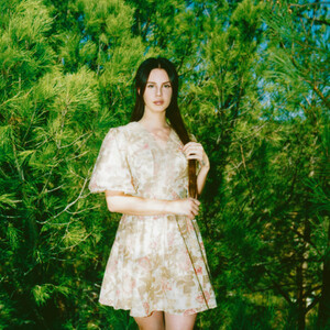 2---Lana-Del-Rey---Lust-for-Life---Neil-Krug.jpg