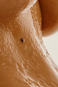3840x5758_ebc81d78213c45ae59bdce69f40d19a5.thumb.jpg.42894b0ddd2c027d65fbdff8b28918dd.jpg