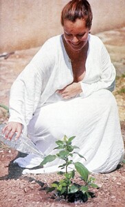78.jpg