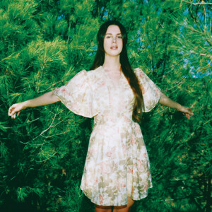 9---Lana-Del-Rey---Lust-for-Life---Neil-Krug.jpg