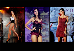 Screenshot 2023-11-24 at 00-40-52 Сборные съемки моделей в нижнем белье стрит фото на Lingerie EXPO . Дмитрий Лившиц - профессиональный фотограф Москва.png